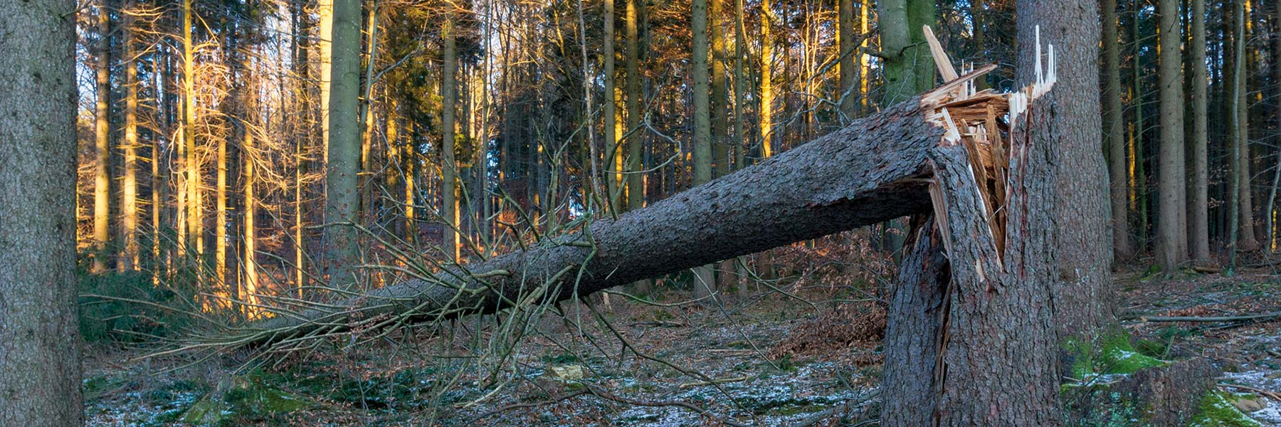 Om du drabbas av storm