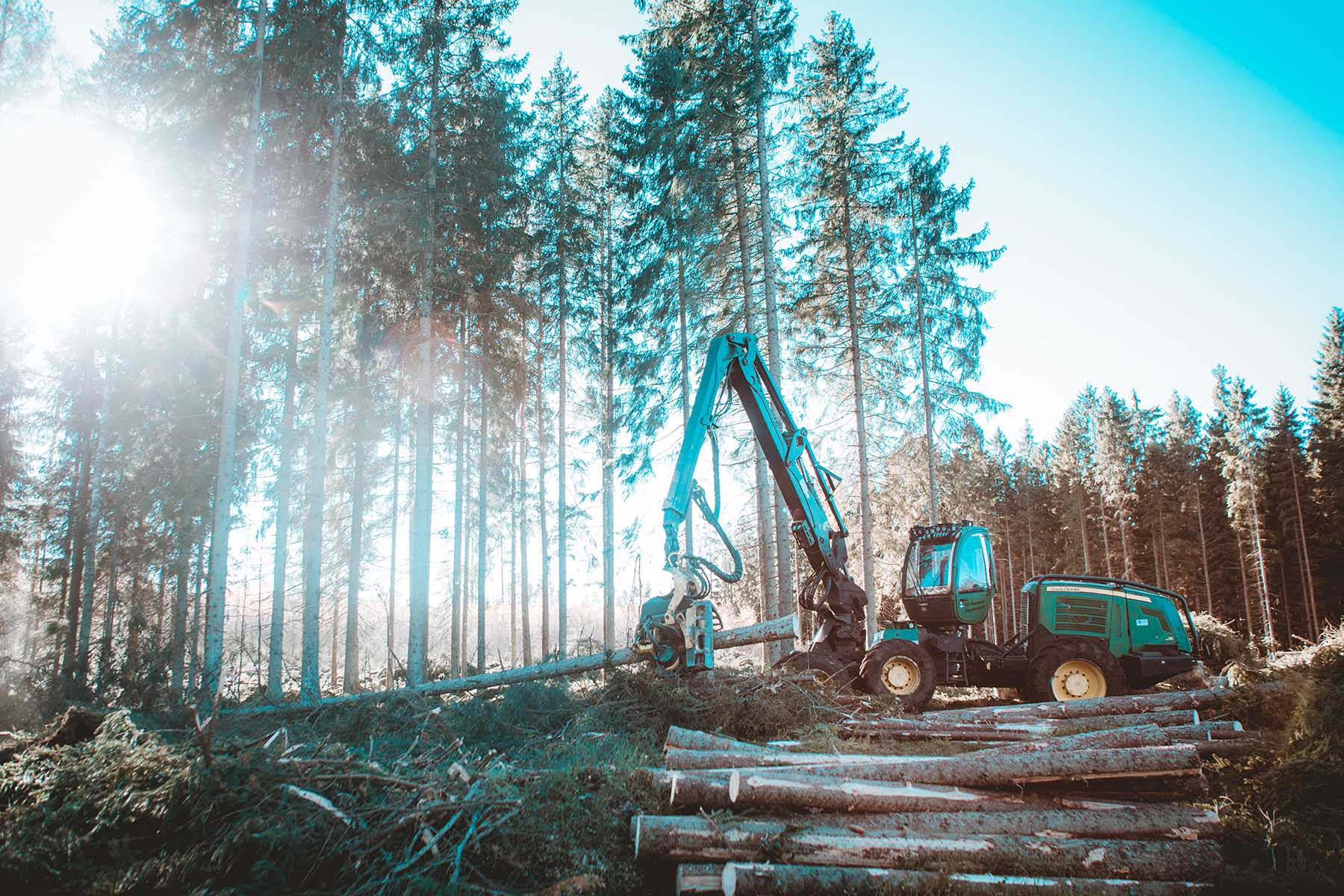 Maximera ditt virkesvärde