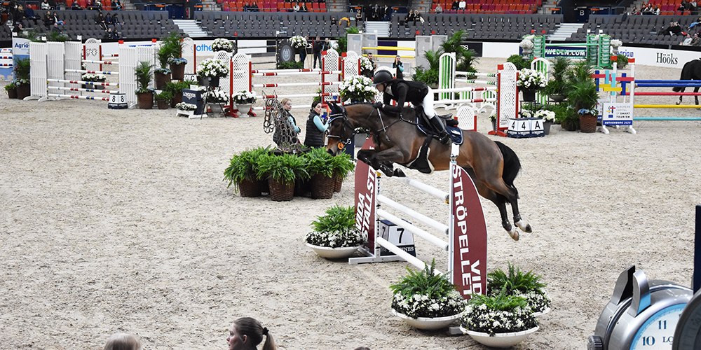 Dammrensat stallströ är av stor vikt för Gothenburg Horse Show