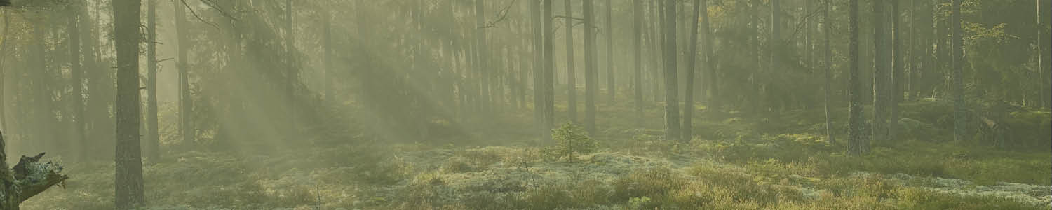 Läs om fototävlingen